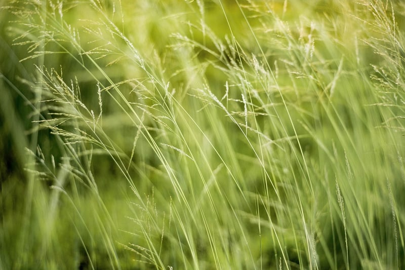 Eco-conscious Gifting Tips